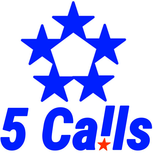 5 Calls