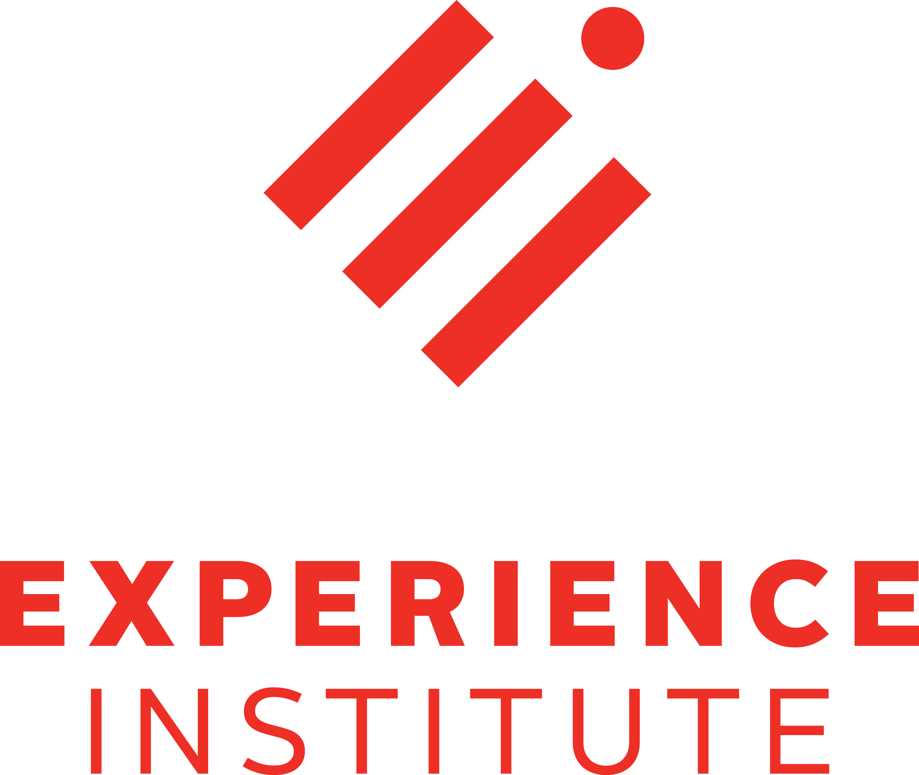 Experience Institute